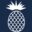 119ehartsdaleavenue3k.com favicon